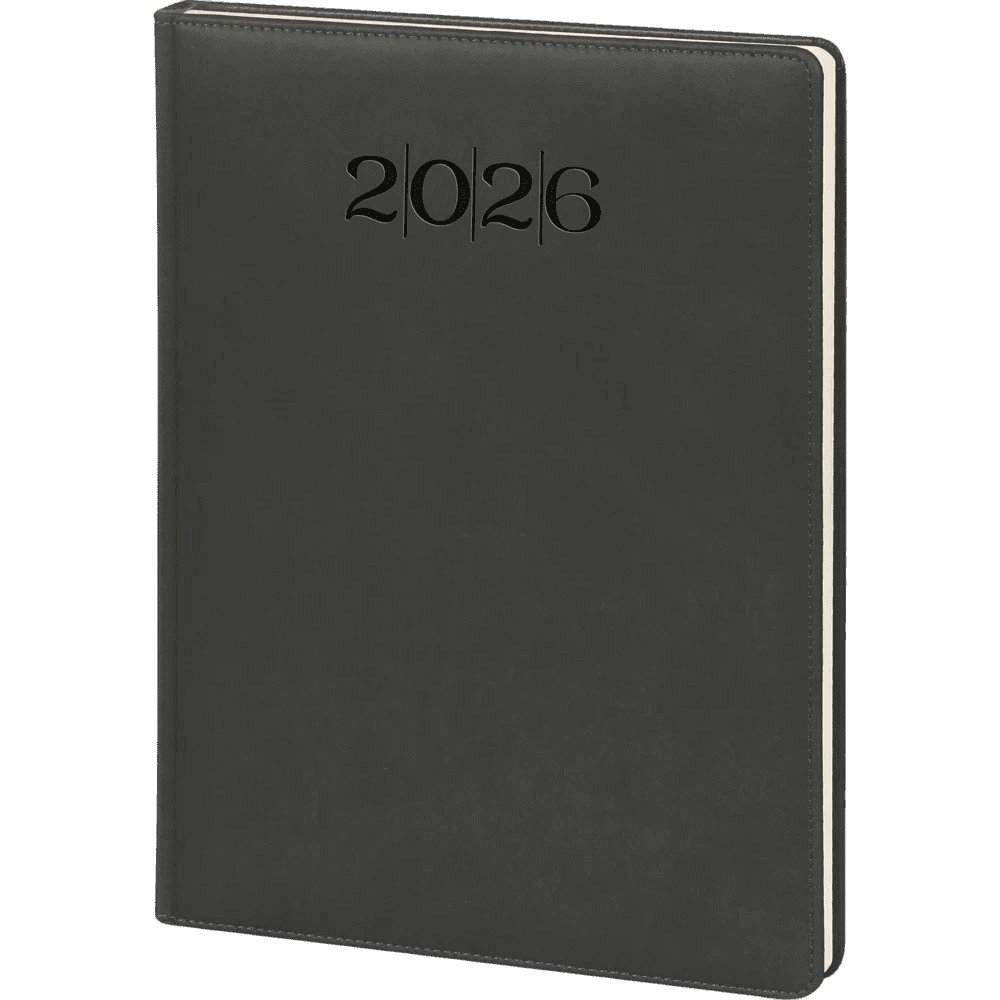 GÜNLÜK AJANDA MODEL 19