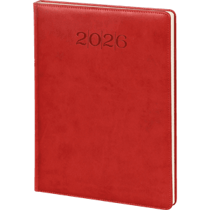 GÜNLÜK AJANDA MODEL 19