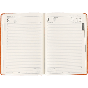 GÜNLÜK AJANDA MODEL 11